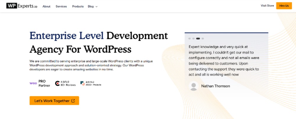 WPExperts.io Website